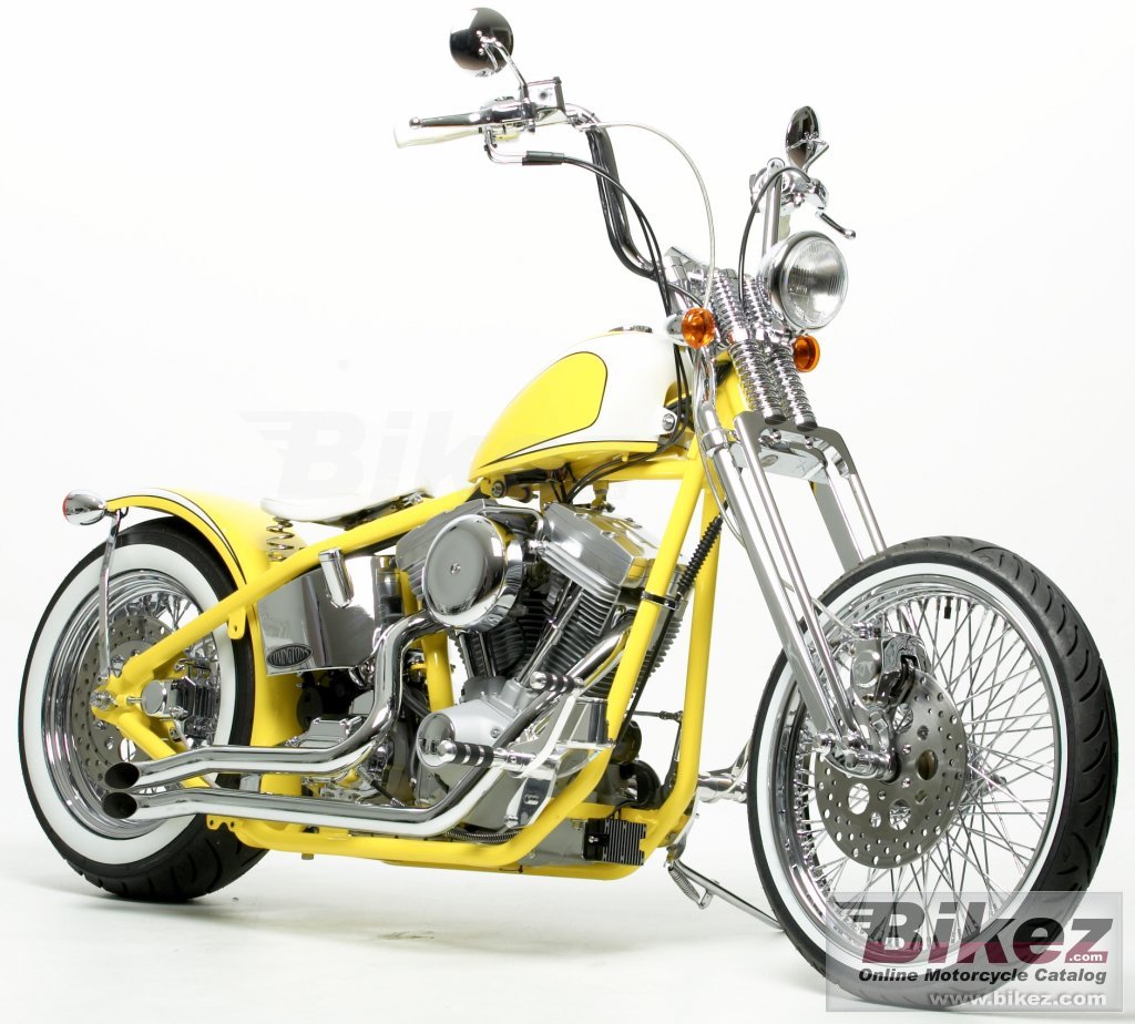 Big Covingtons bobber picture and wallpaper from Bikez.com